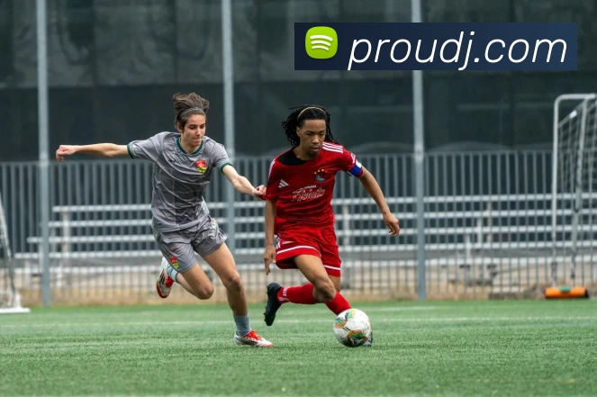 华体官网登录APP 高清赛事图